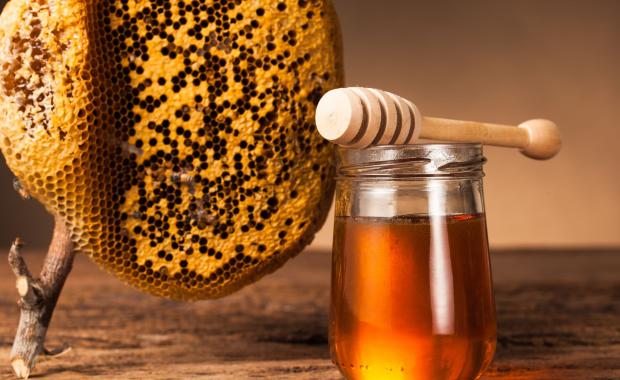 From Hive to Your Home – Buy Pure Eucalyptus Honey Online