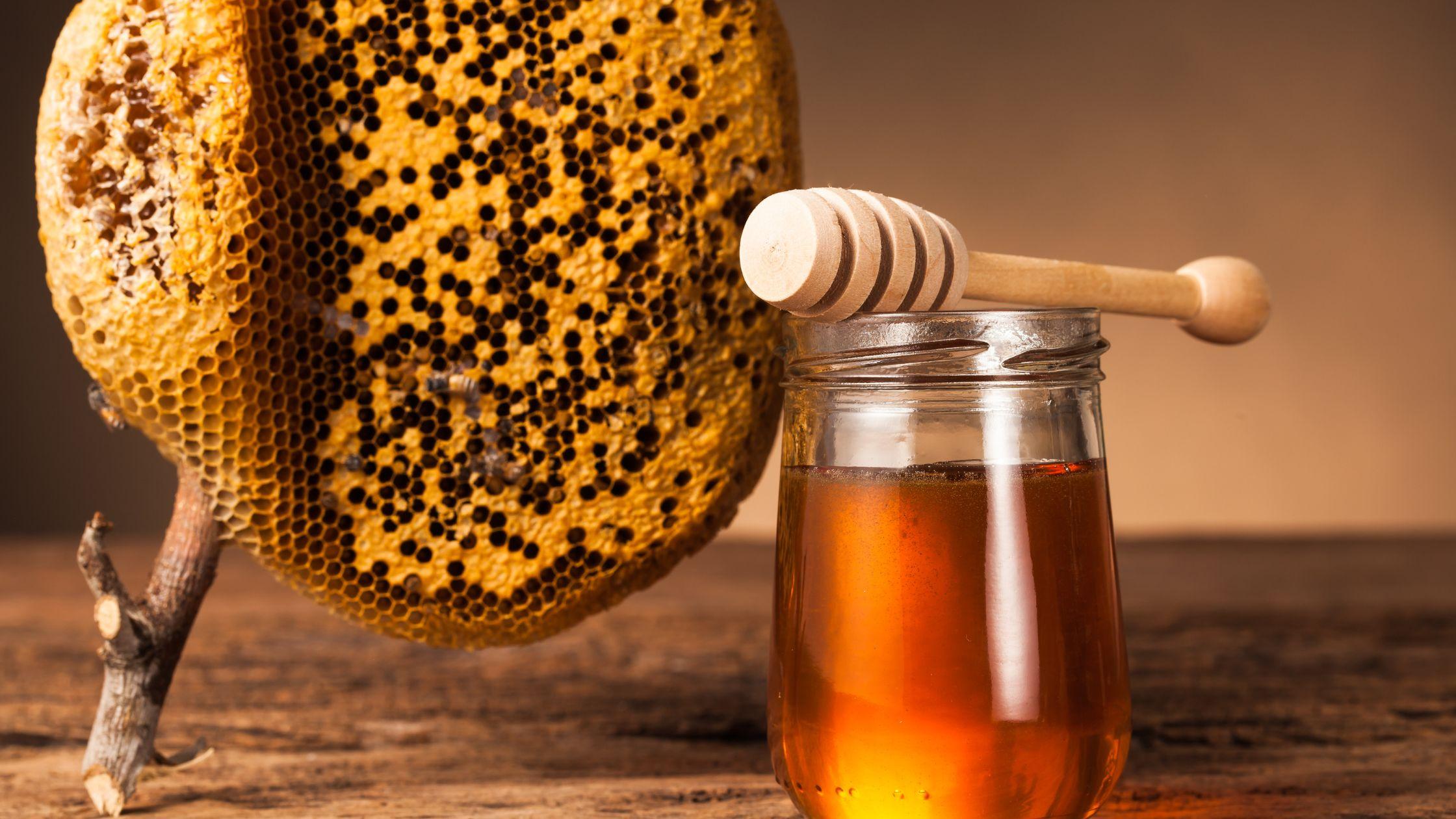 From Hive to Your Home – Buy Pure Eucalyptus Honey Online