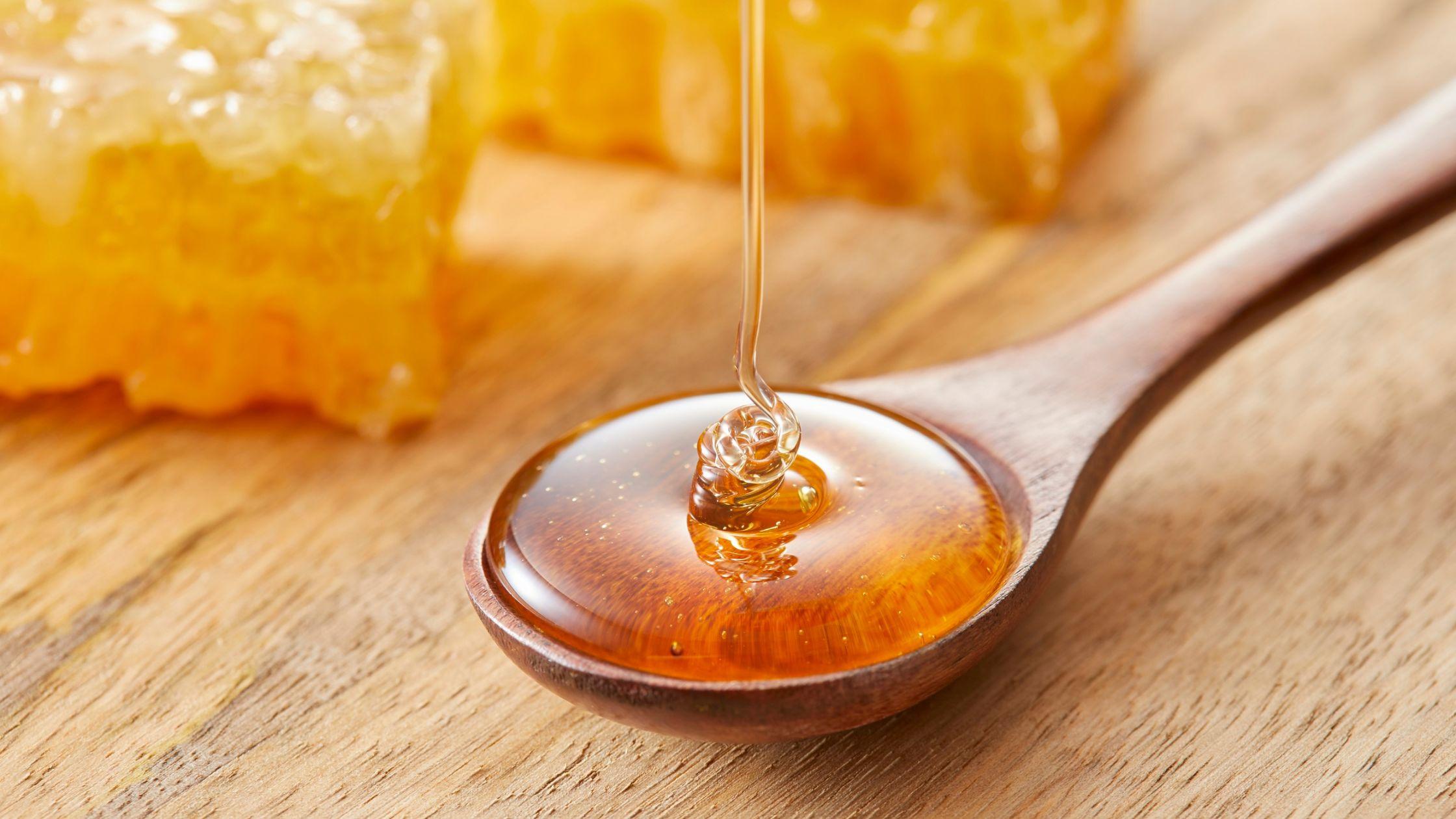 Buy Pure Sunflower Honey Online – Benefits, Uses & Why It’s the Healthiest Choice