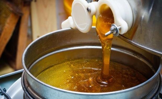 Best Time to Consume Honey for Maximum Health Benefits (Morning, Night or Empty Stomach?)