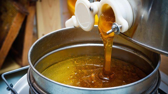 Best Time to Consume Honey for Maximum Health Benefits (Morning, Night or Empty Stomach?)