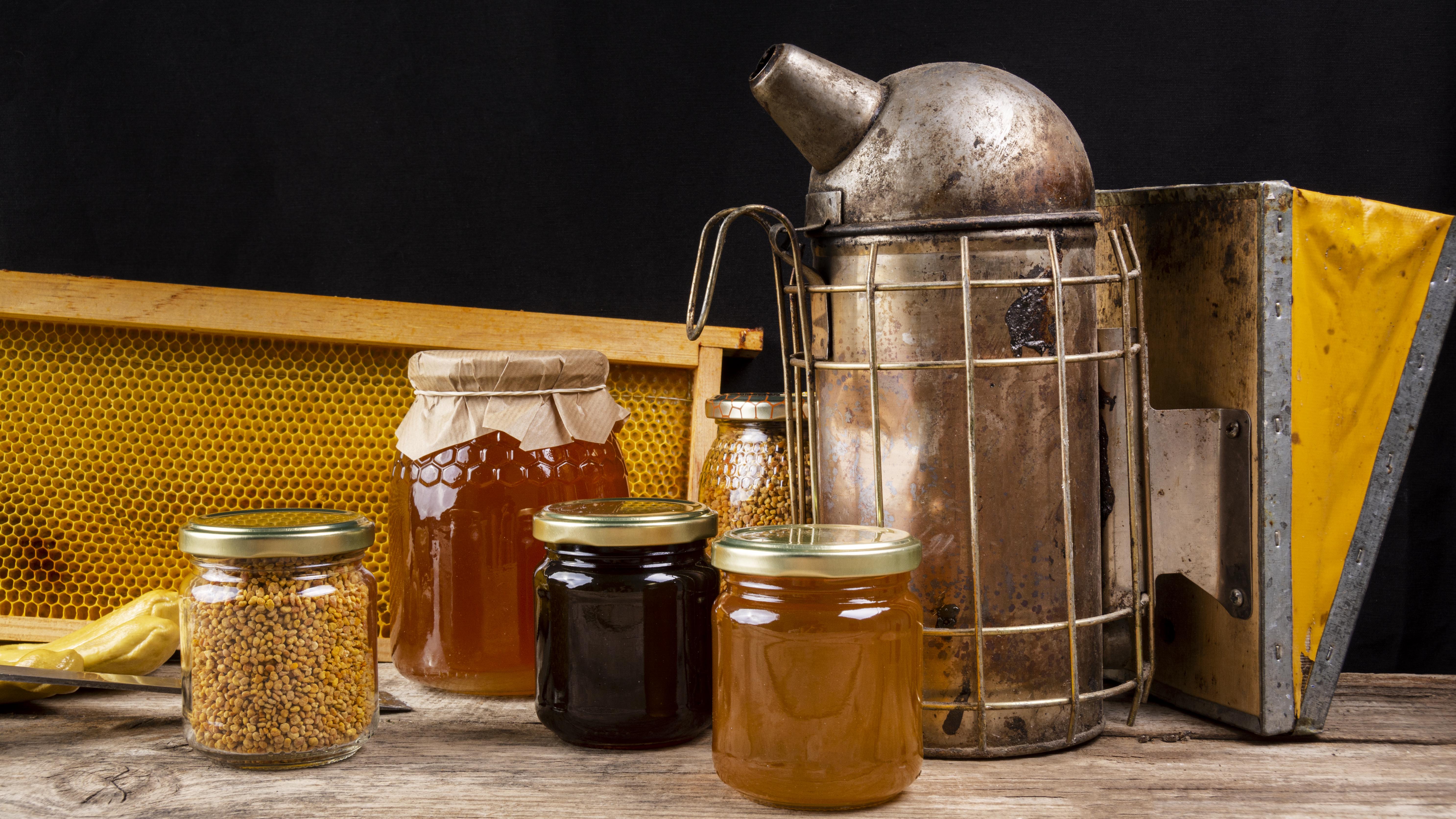 Raw Honey vs Organic vs Regular Honey: What's the Difference