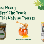 Is Your Honey Real? How to Spot Fake Honey