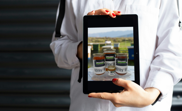 The Journey of Organic Honey From Hive to Home with Organicfreshindia